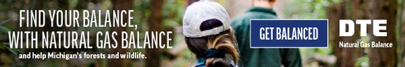 DTE Energy