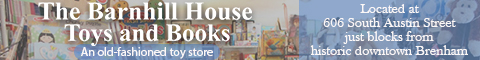 The Barnhill House Toys & Books