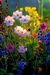 Lander Senior Citizens Center - Lander