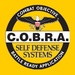 COBRA Self-Defense Saratoga - South Glens Falls