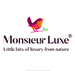 Monsieur Luxe -