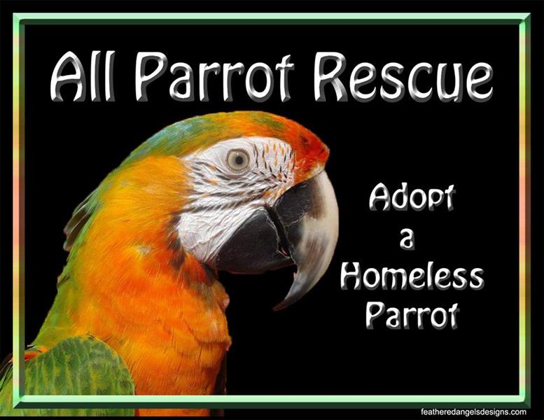 APR All Parrot Rescue APR All Parrot Rescue