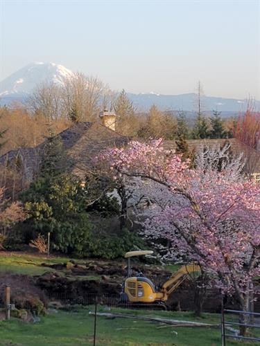 Beautiful Spring day in the Sammamish Highlands