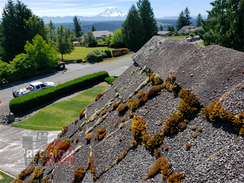 Pierce County Roof Cleaning Company | Moss Removal | Mt. Rainier Views
