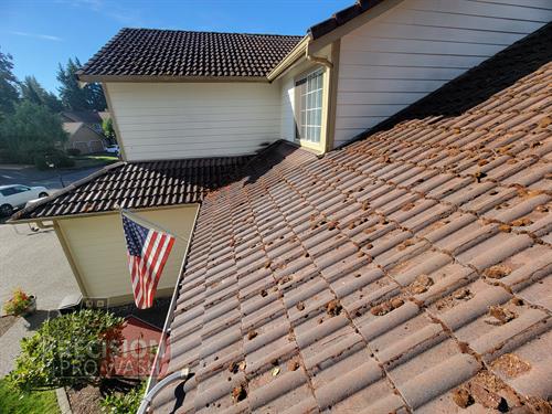 Tile Roof Moss Removal and Soft Wash Treatment Before
