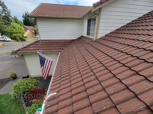Tile Roof Cleaning Moss Removal and Soft Wash Treatment After