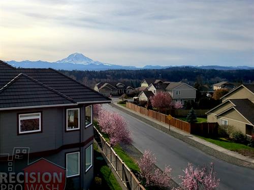 Lake Tapps Roof Cleaning & Maintenance