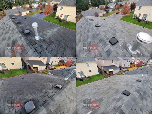Roof Soft Wash Before and After