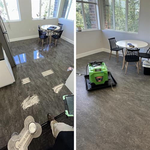 Gallery Image waterdamageservpro.jpg