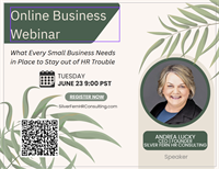 Silver Fern HR Consulting LLC - Edgewood, WA, USA