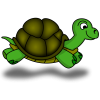 Turtle Races