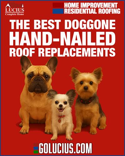 Our company mascots and the heart of Lucius Complete Home, reminding Memphis homeowners that we’re the Best Doggone Roofers around!