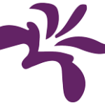 Executive Director