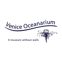 Venice Oceanarium: Sea Life Salon Series - Help the Ocean Help Us by Mike Schaadt
