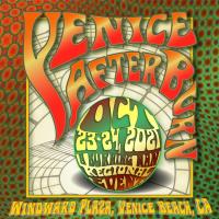 Venice Afterburn A Celebration of Art, Creativity, and Community