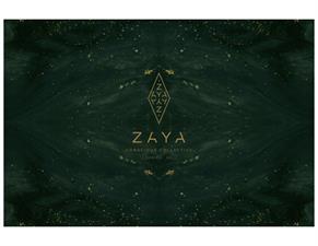 Zaya Conscious Collective - Business Closed