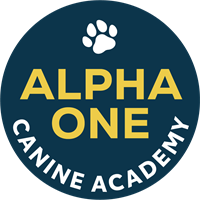 Alpha One Canine Academy Alpha One Canine Academy