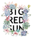 Big Red Sun: Sip + Shop Happy Hour