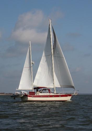 Knota Lota on starbought tack 