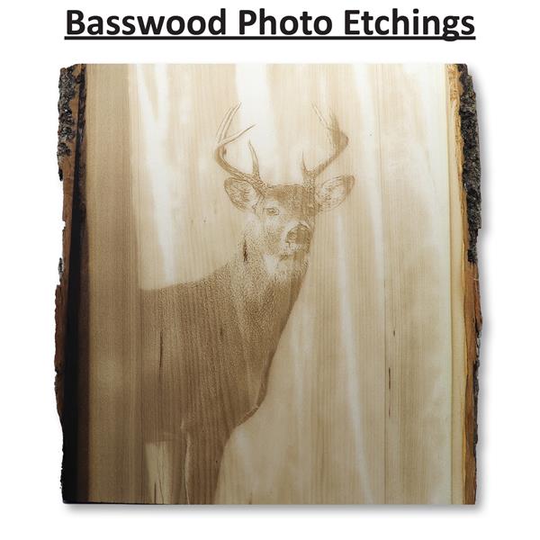 Basswood Live Edge Etching