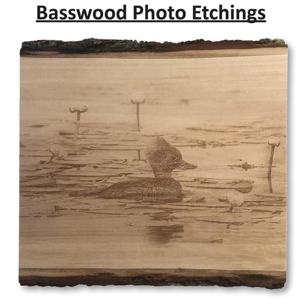 Basswood Live Edge Etching