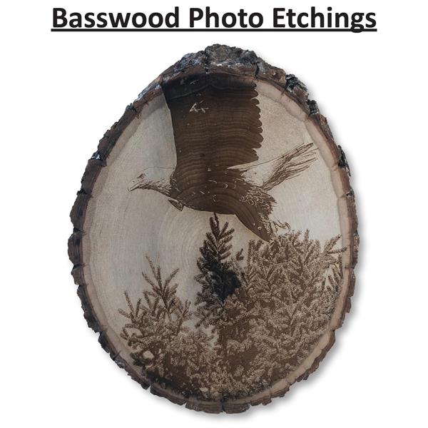 Basswood Live Edge Etching