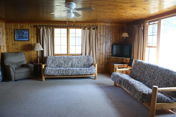 Cabins Living Rooms