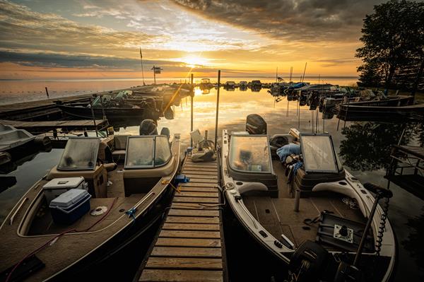 Harbor