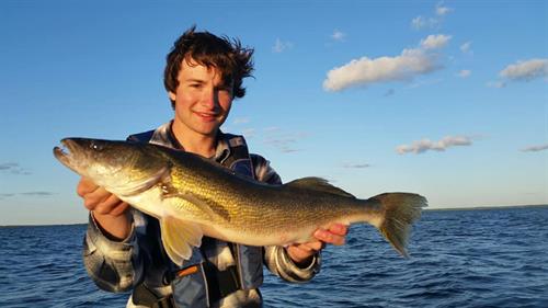 Gallery Image walleye(1).jpg