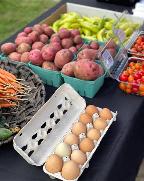 Farmers Market Thursdays 