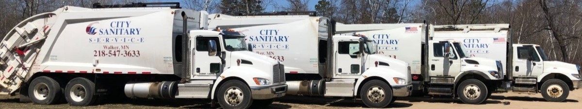 City Sanitary Service