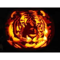 TRICK OR TREAT WITH THE BIG CATS - Wisconsin Big Cat Rescue 