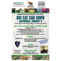 ANNUAL BIG CAT CAR SHOW AT CHRISTMAS MOUNTAIN VILLAGE