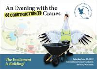 An Evening with the Cranes