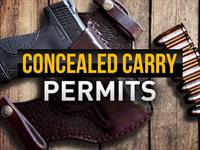 WI Concealed Carry Class