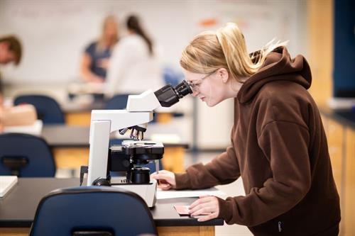 Gallery Image 6M4A0301.jpg