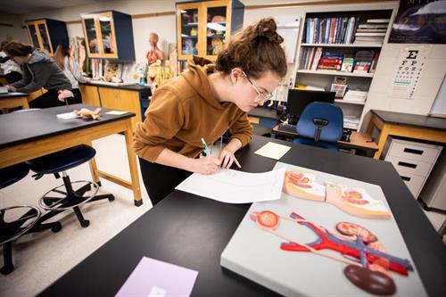 Gallery Image 6M4A0328.jpg