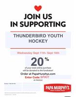 Thunderbird Youth Hockey - Baraboo