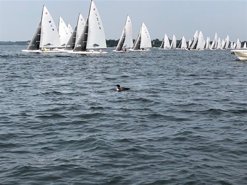 Gallery Image Es2.jpg