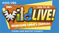 WILDLIVE- VACATION BIBLE SCHOOL