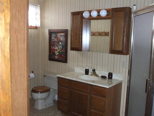 Lower level bathroom with shower