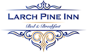 Valentine's Tea and Fashion Show at the Larch Pine Inn