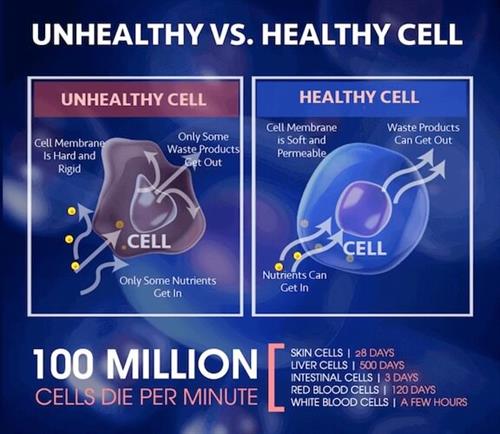 Healthy vs. sick cell.