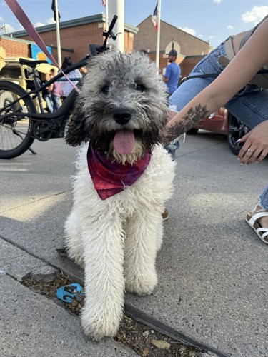 Gallery Image 448018816_434117996051540_6852343864357244560_n.jpg