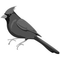 The Cardinal
