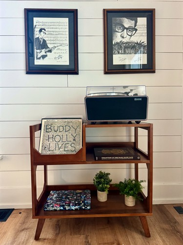 Curated vinyl collection and record player