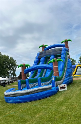 Tropical Rush Dual Waterslide! An absolute blast and a show stopper! Perfect for backyard birthday parties.