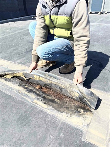 Gallery Image Commercial_Roofer2.jpg