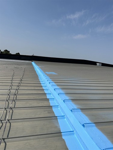 Gallery Image Sealing_Metal_roof_with_Coatings_.jpg