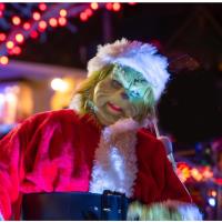 Annual Grinch Fest & Parade and Tree Lighting - Whitney, TX